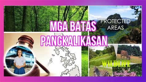 ano ang kahulugan ng denr sa tagalog|Mga batas at regulasyong pangkalikasan, rerebyuhin .